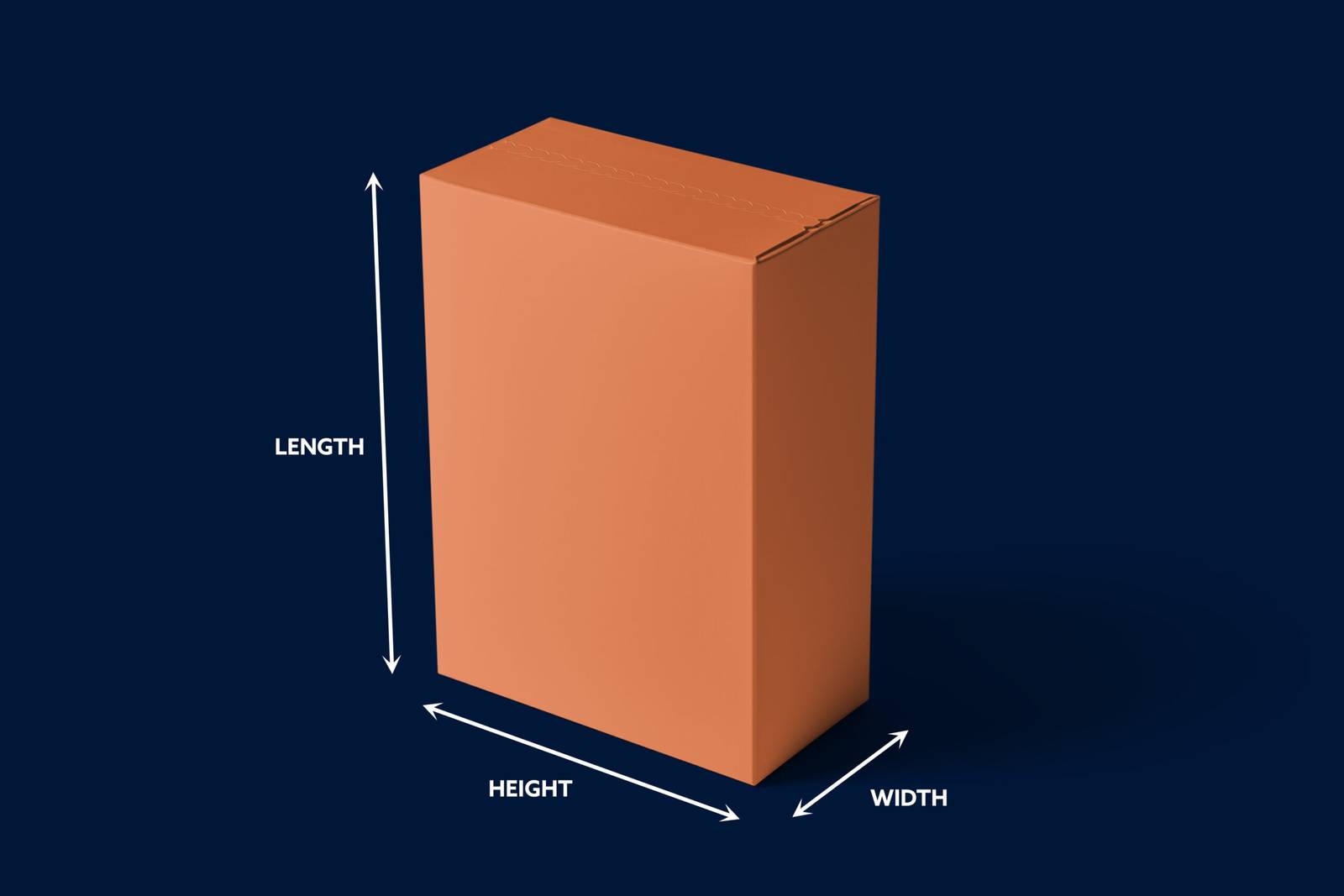 frozen burger patty box guide dimensions