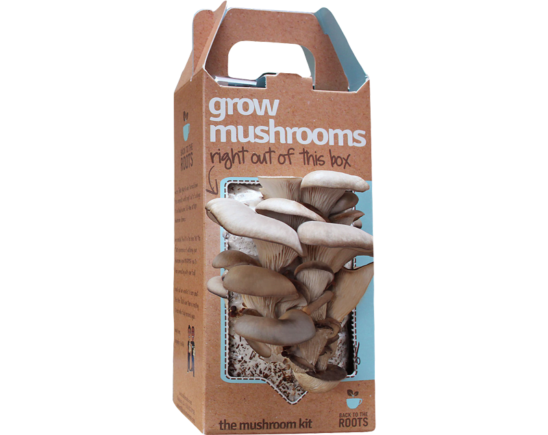 custom mushroom boxes